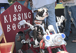 Chopper the Dog photo LA Calendar Motorcycle Show