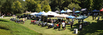 Panarama