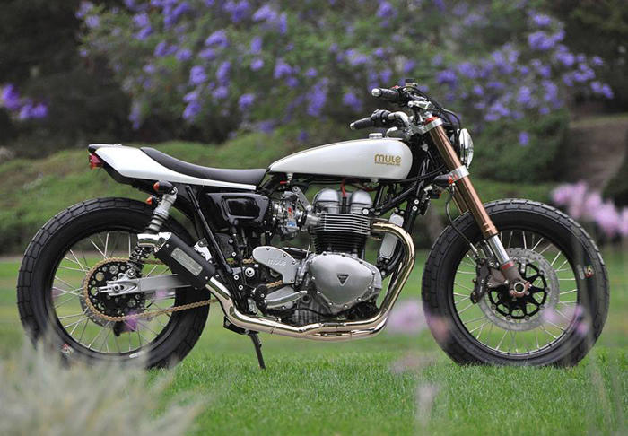 Mule Motorcycle Triump Street tracker Streetracker