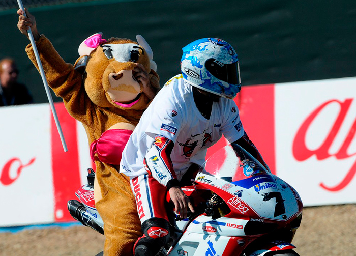 Carlos Check victory bull picture