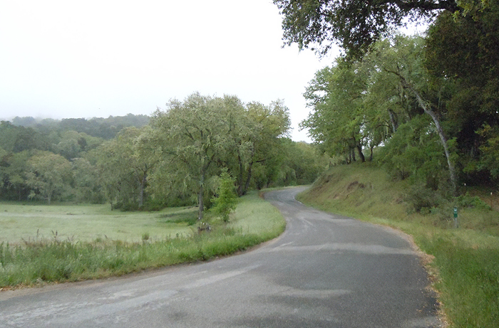 carmel valley road